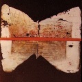 1975- Reperto, Segni di vita, cm 120x140 circa, Olio ed Acrilico su tela. Collezione Ente Pubblico Teramo