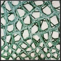The net , cm 70 x 70, acrylic  color on linen canvas